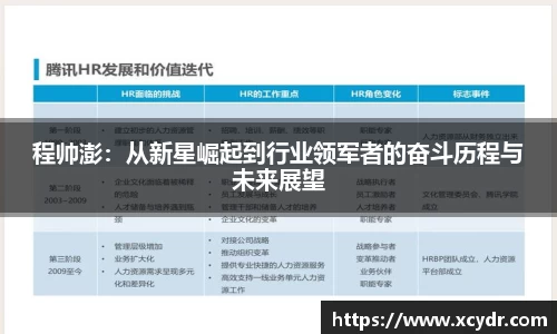 程帅澎:从新星崛起到行业领军者的奋斗历程与未来展望